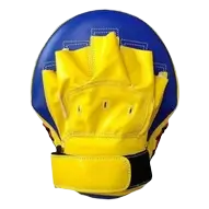 Boxing Nest Focus Mitt